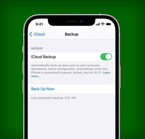 iPhone Backup Data